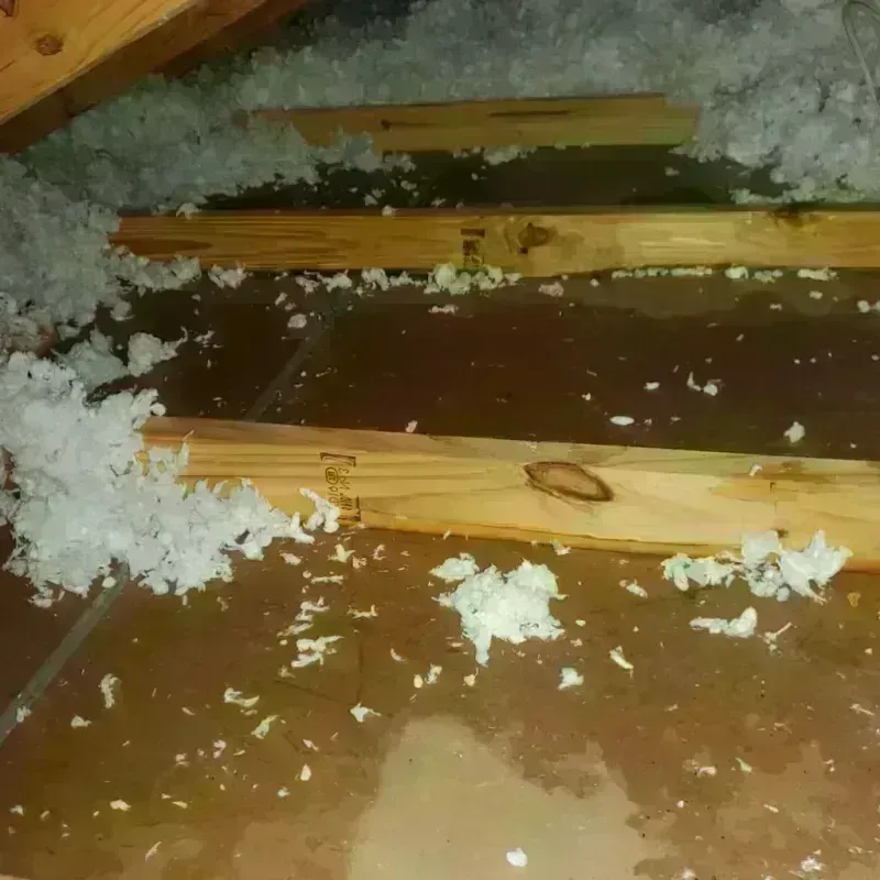 Attic Water Damage in Brownwood, TX