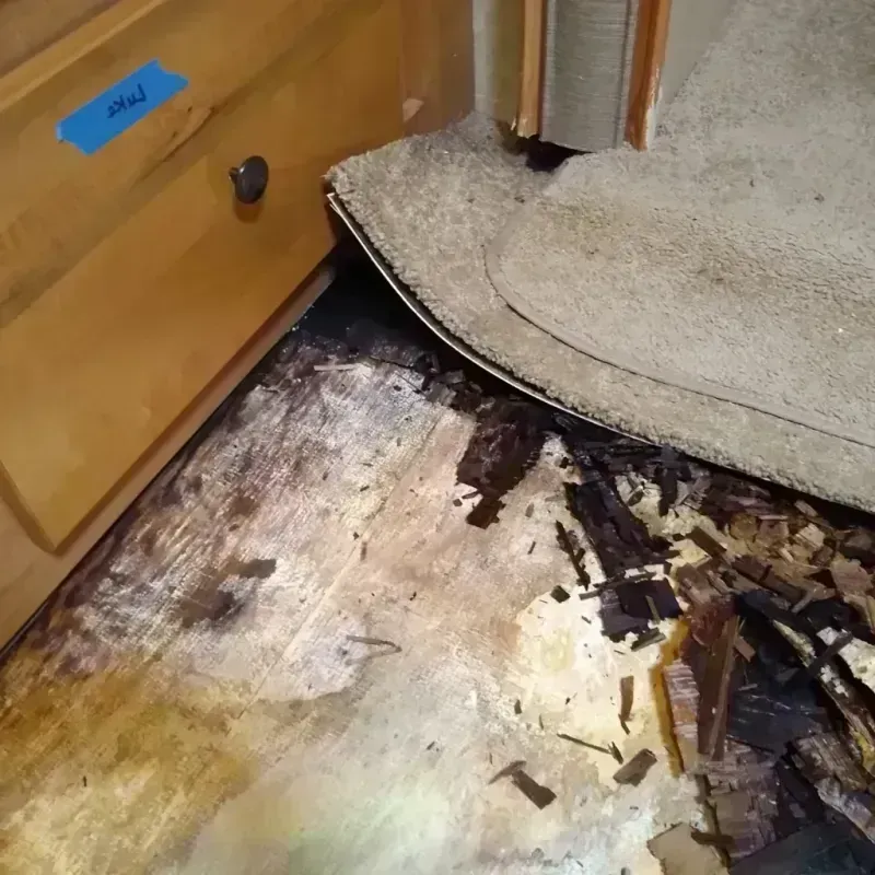 Wood Floor Water Damage in Brownwood, TX